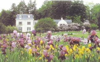 iris gardens and house